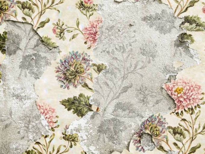 LW22C-024AWallpaper_703x.progressive (1)