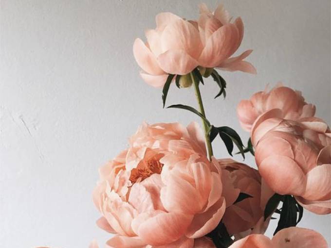 cf3c9f92c12a34119891c168963fb223 (2) (1)